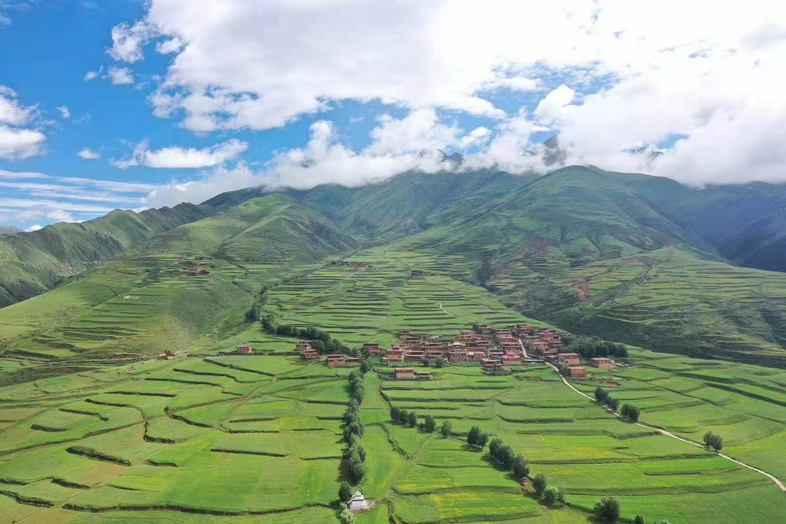 第一书记:喻鹏,驻村干部:根秋夏,会记:泽登巴绒,支部书记:呷绒泽仁