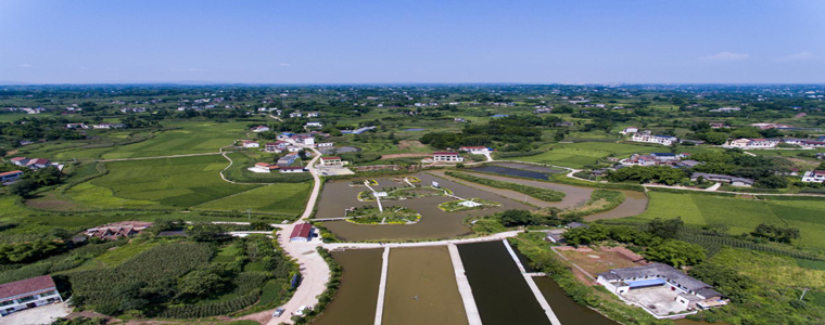 辖区简介位于县境东部,东接代寺镇,童寺镇,南邻琵琶镇,西靠东湖镇,北