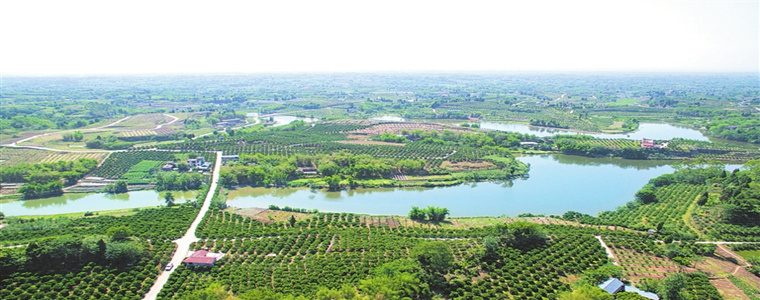 8公里,区域东邻研经镇,南界研城镇,西与金峰乡接壤,北连仁寿县慈航镇