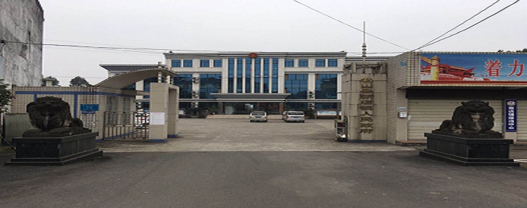 乡镇-四川政务服务网